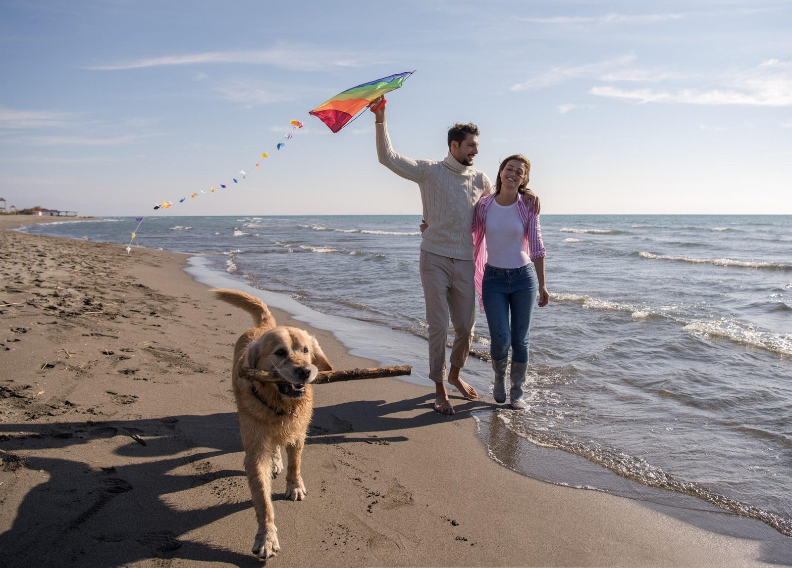 Strandhuisje vakantie hond Zeeland Nederland