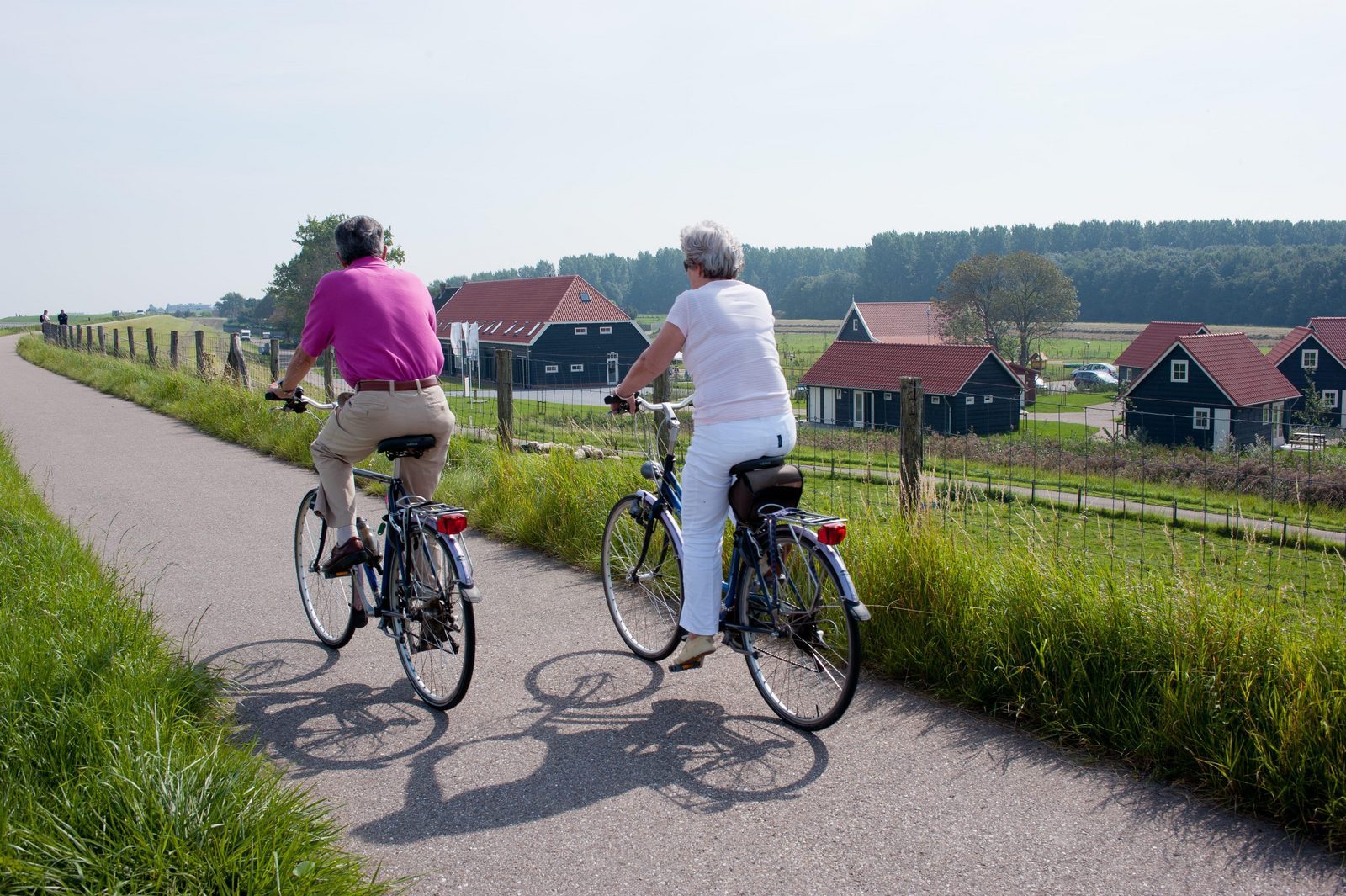 Fietsvakantie Oosterschelde