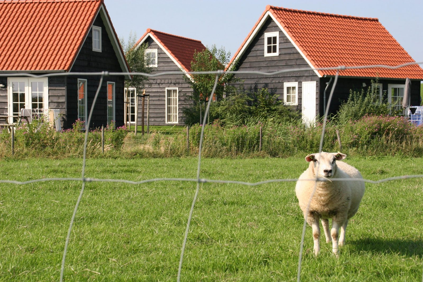Homes in Zeeland
