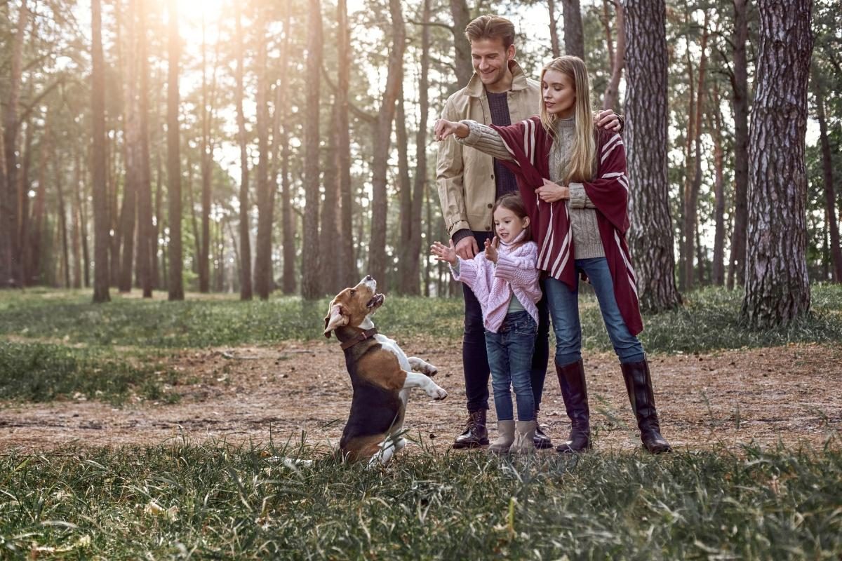 Een gezin met hun hond in de natuur tijdens de krokusvakantie