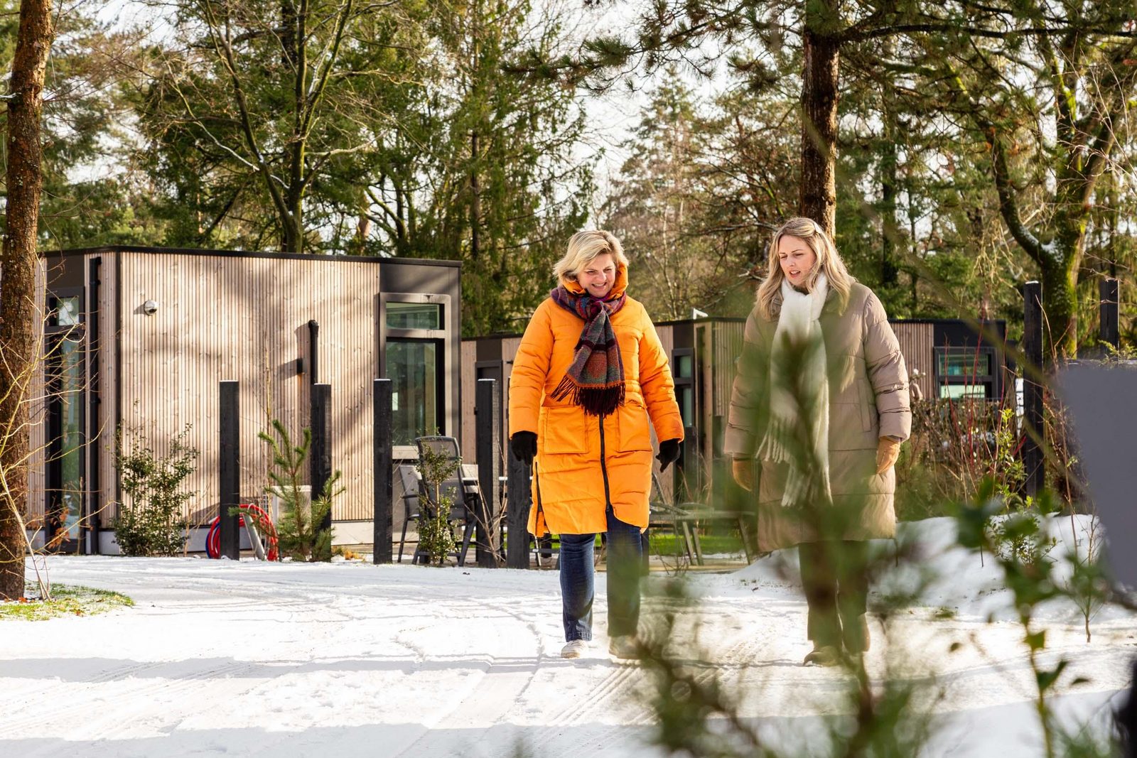 Winter op de Veluwe