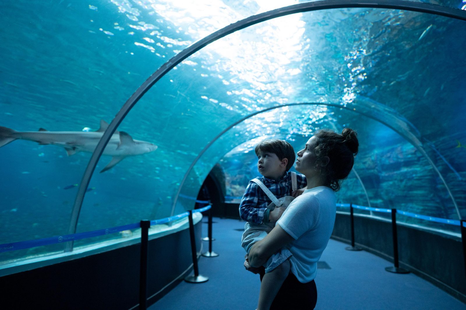 Nausicaá: the largest aquarium in Europe in Boulogne-sur-Mer