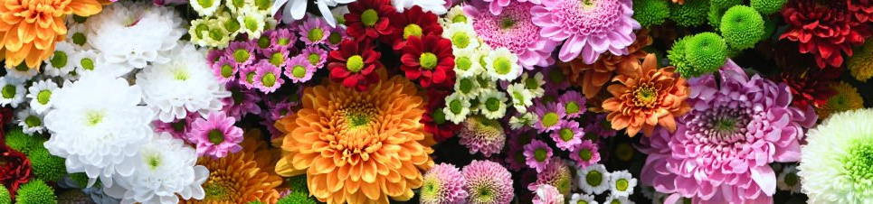 Whit Monday / making spring flower arrangements