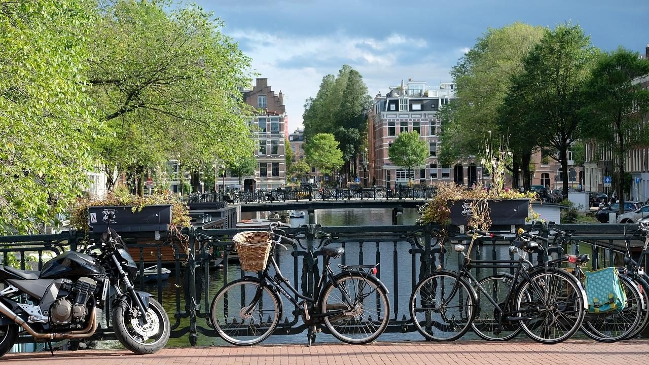 Things to do in Holland