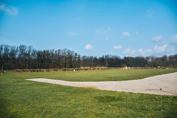 Vogelenzang