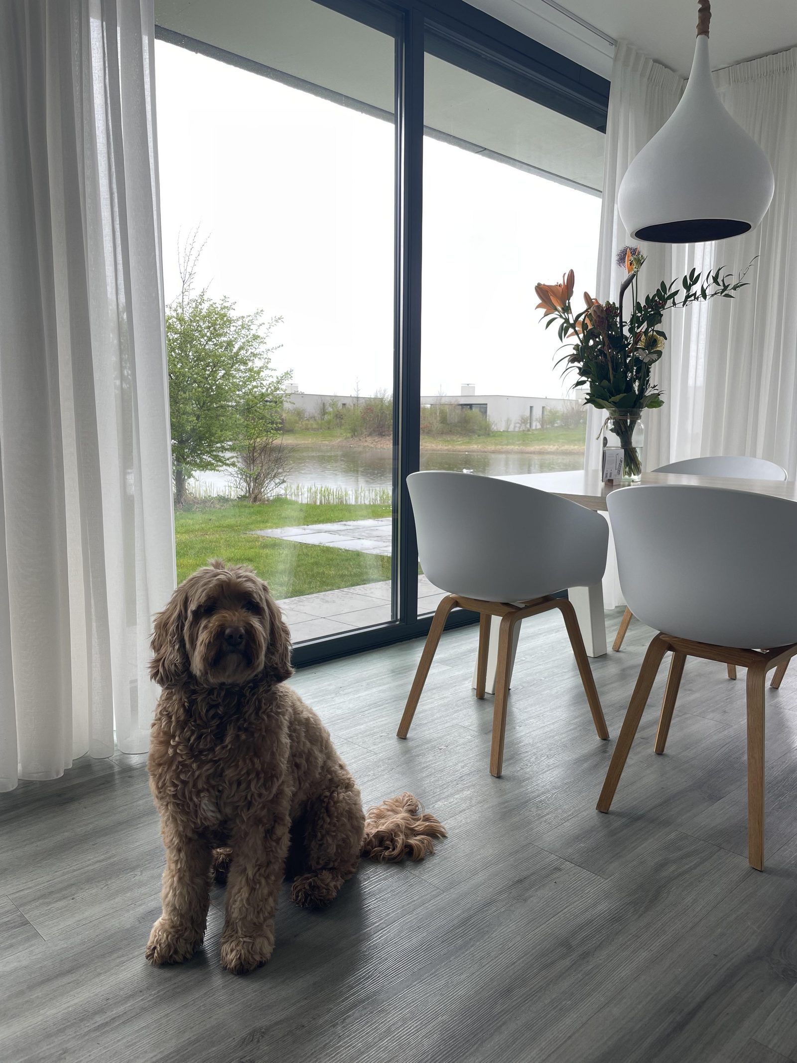 Cottage in Zeeland with your dog