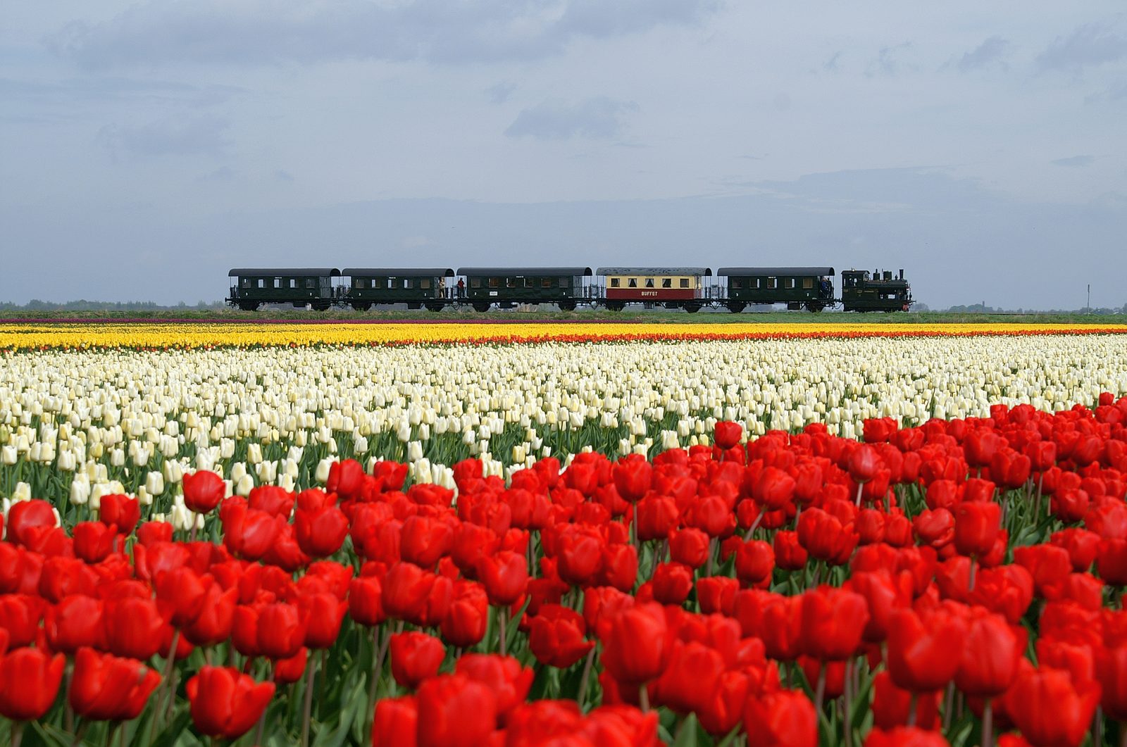 Steam tram Hoorn - Medemblik