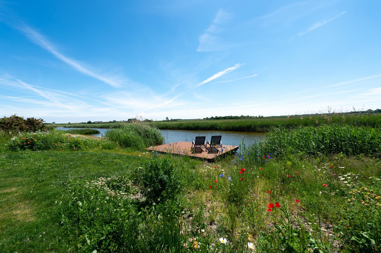 Luxury stay in Zeeland with panoramic views of the polder landscape