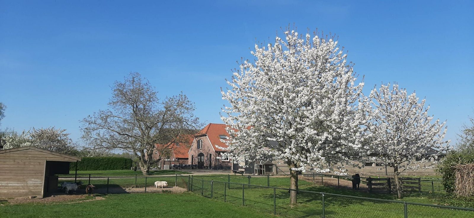 Boerderij 't Uiversnest