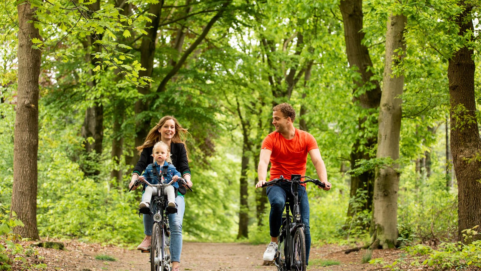 The 10 best family day trips in the Veluwe