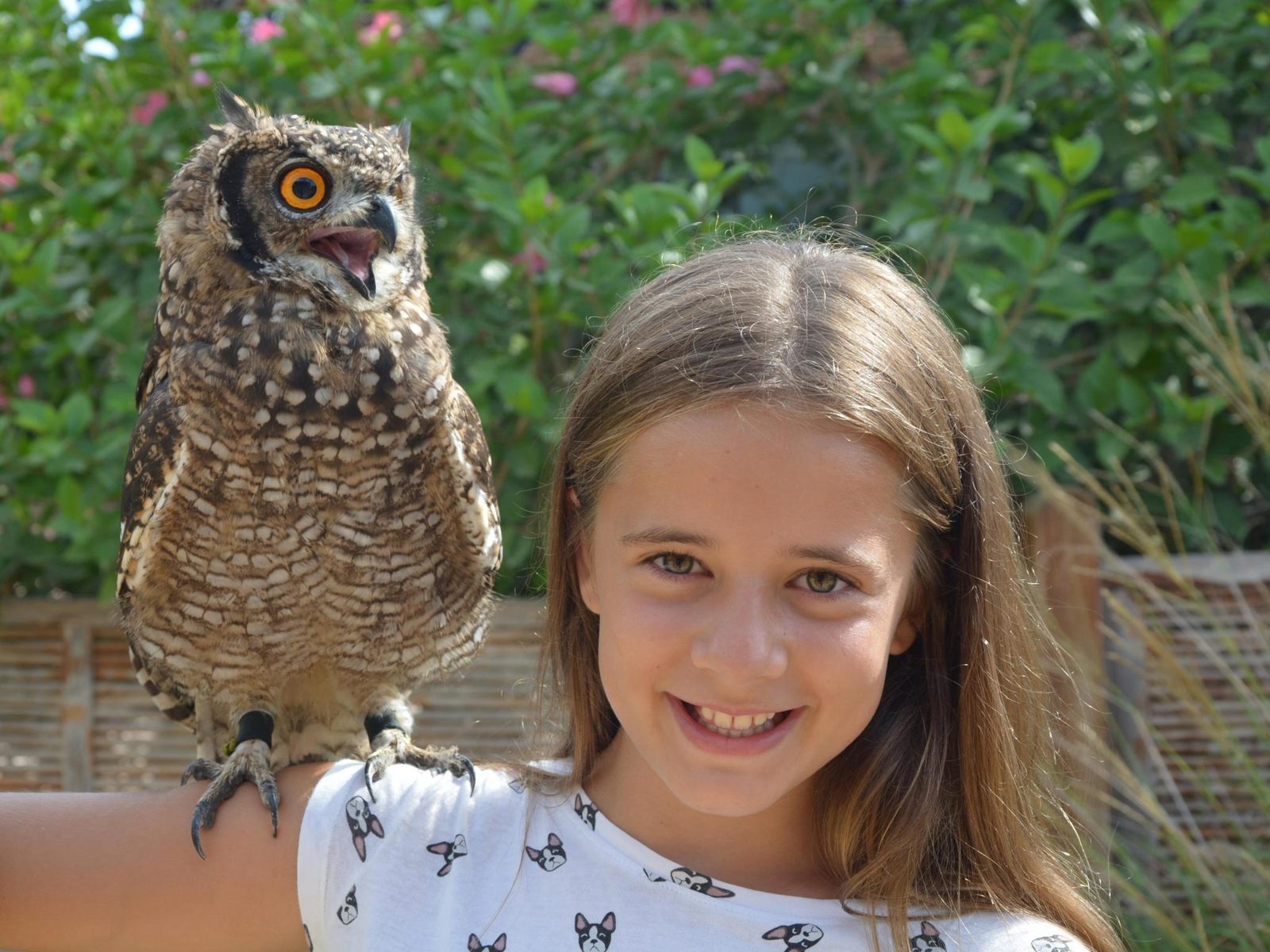 Girl with owl on her shoulder in Terra Natura Benidorm