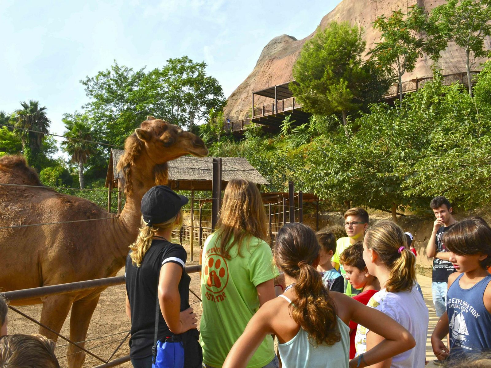 People in Terra Natura Benidorm with the camels and dromedaries