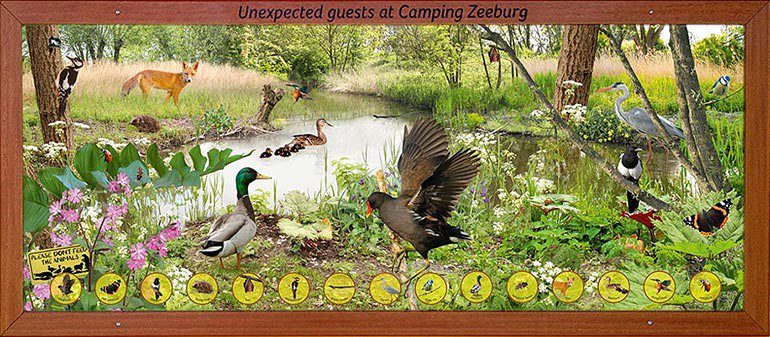 Wildlife Camping Zeeburg