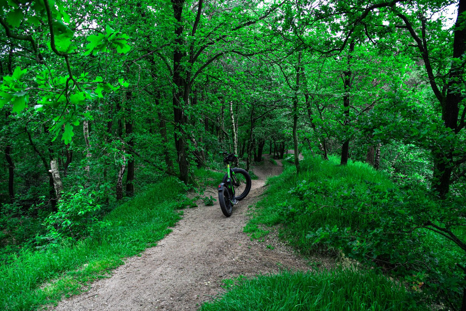 Discover the Veluwe on an E-step or E-mountain bike