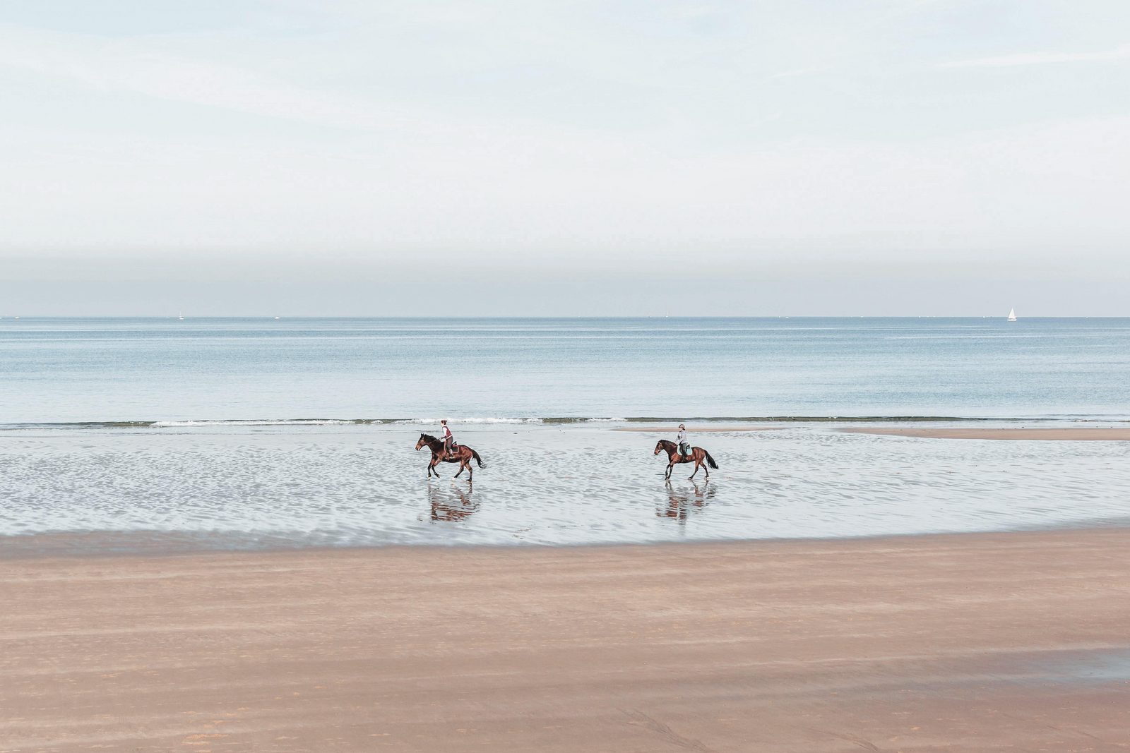 Horse riding at the beach in Zeeland