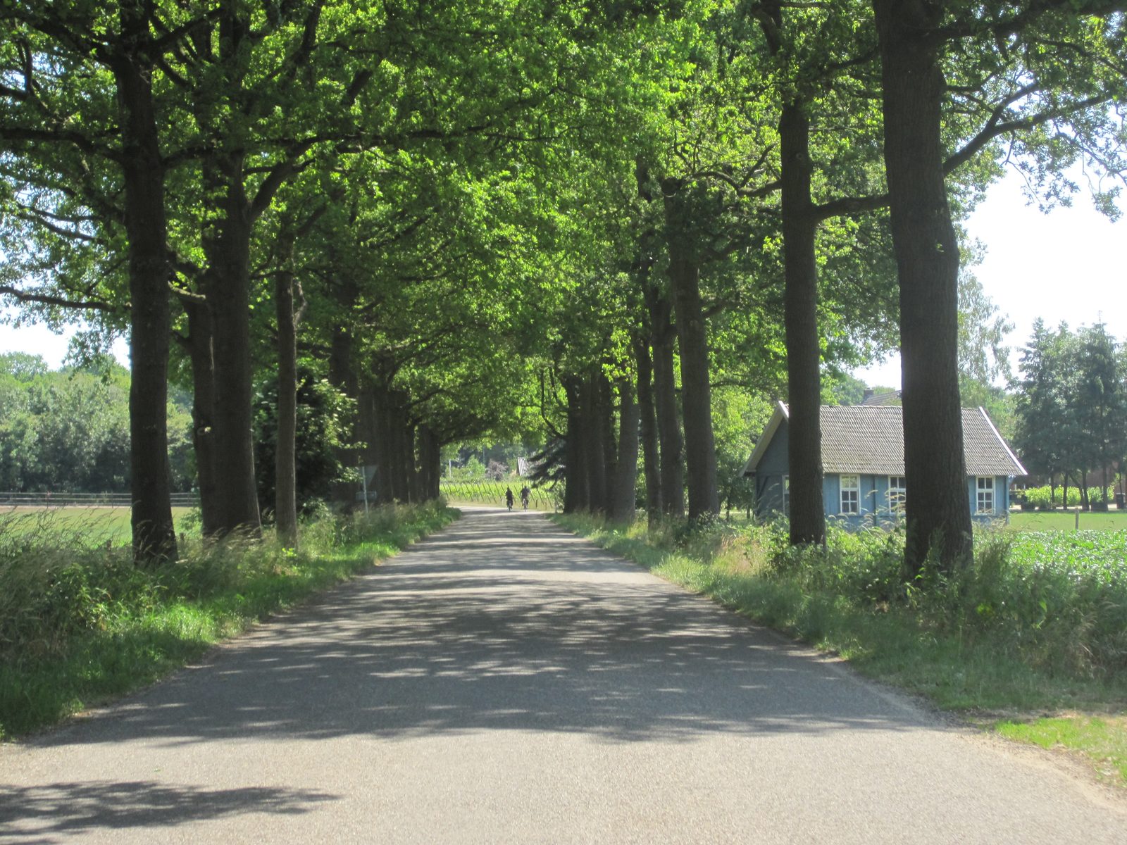 Die Wellness-Ferienunterkünfte von Onthaasten in de Achterhoek befinden sich in wunderschöner ländlicher Lage in der Region Achterhoek in Gelderland. Gastfreundschaft ist hier eine Selbstverständlichkeit.