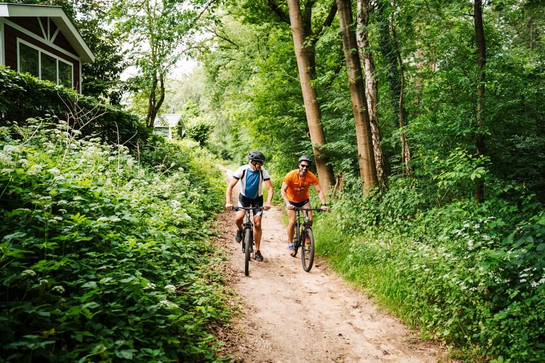 Entdecken Sie die waldreiche Umgebung