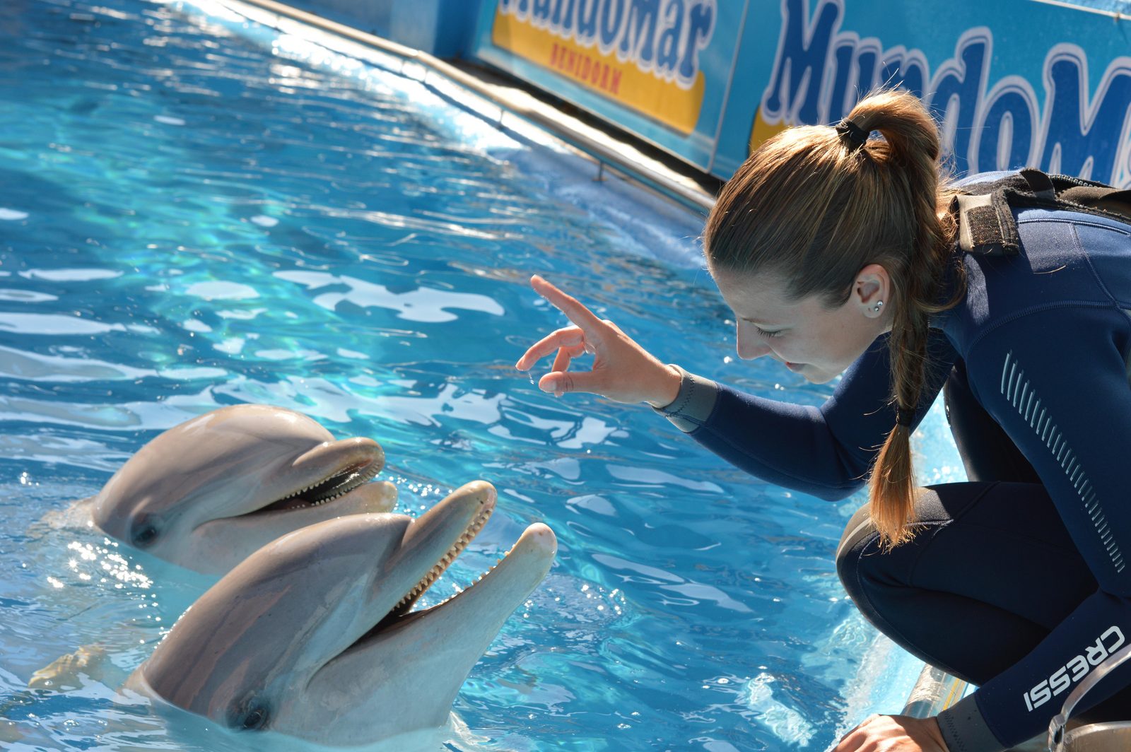 Delfines con entrenador en Mundomar Benidorm