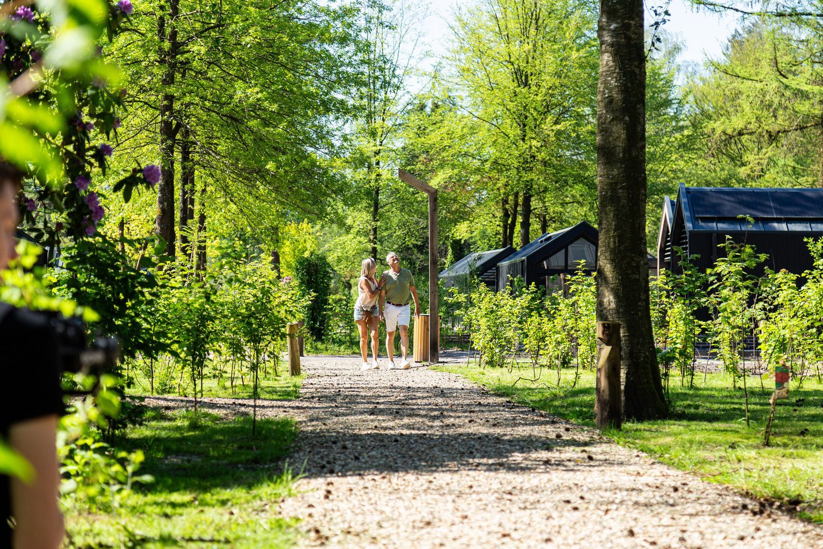 Ferienpark auf dem Utrechter Hügelrücken