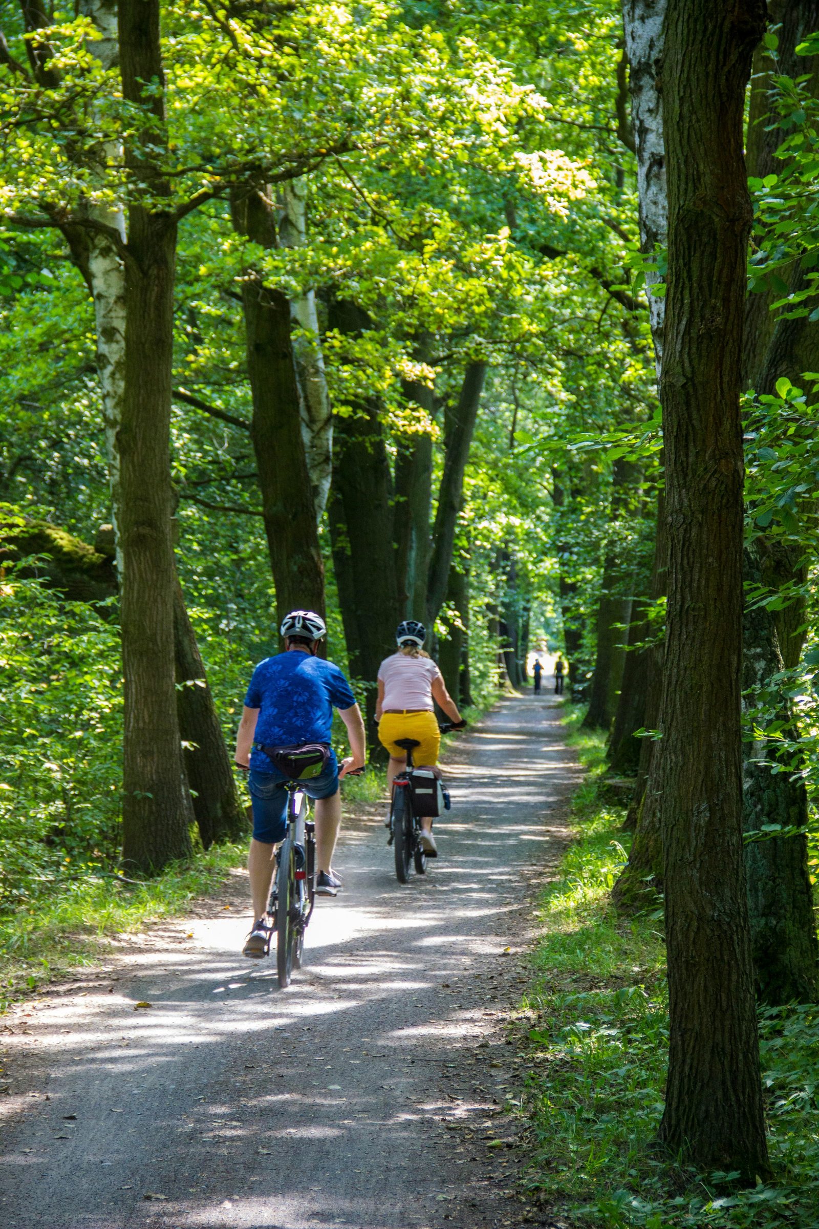 Fiets- en wandelroutes