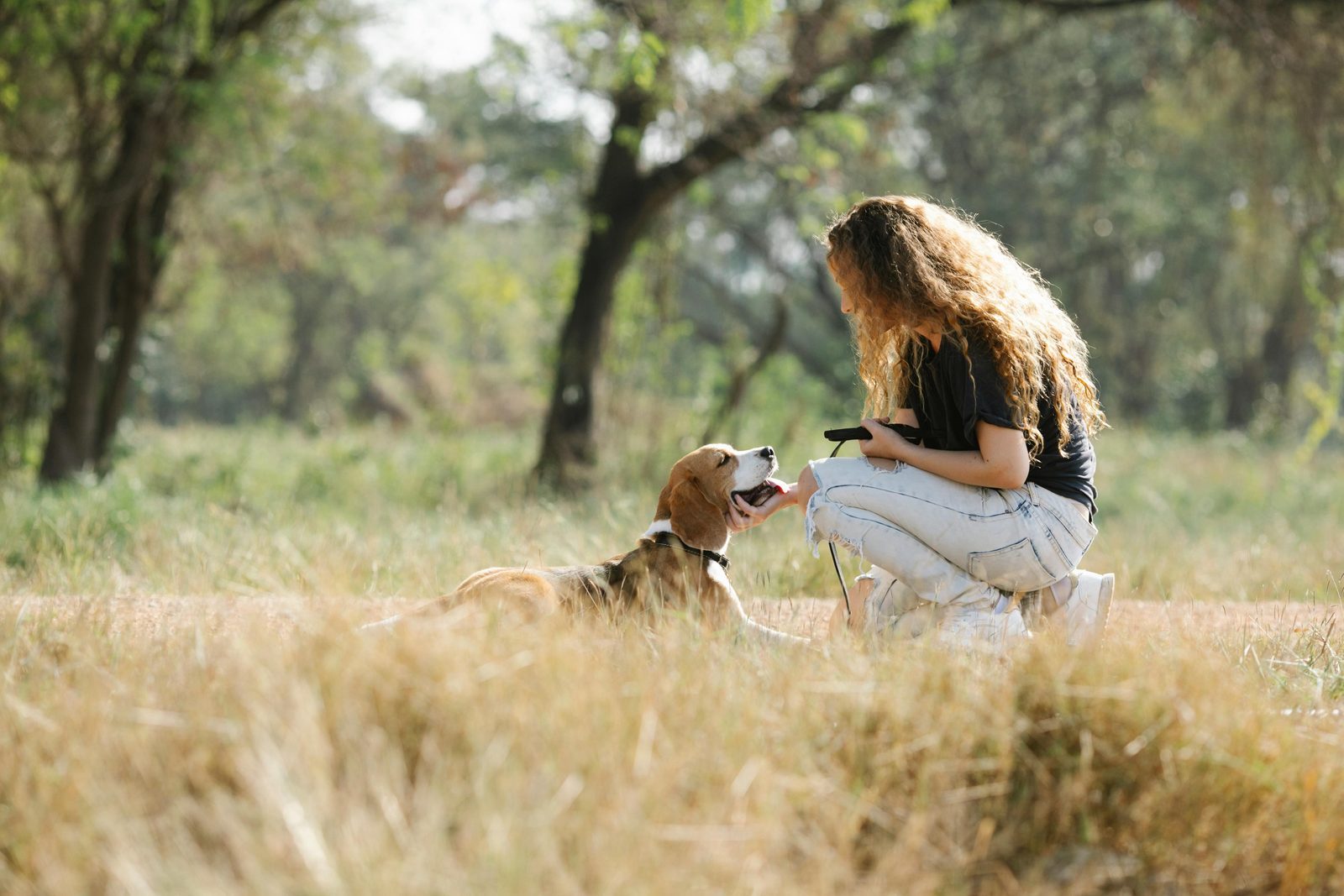 Huisje Veluwe met hond