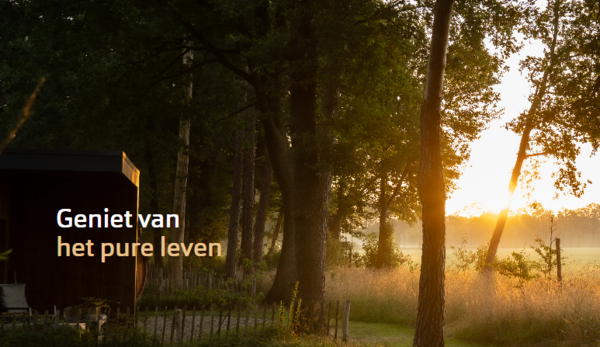 https://www.hofparken.nl/periodes/zomervakantie
