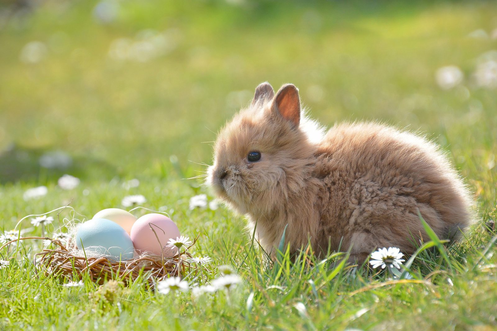 Easter in 't Vechtdal 