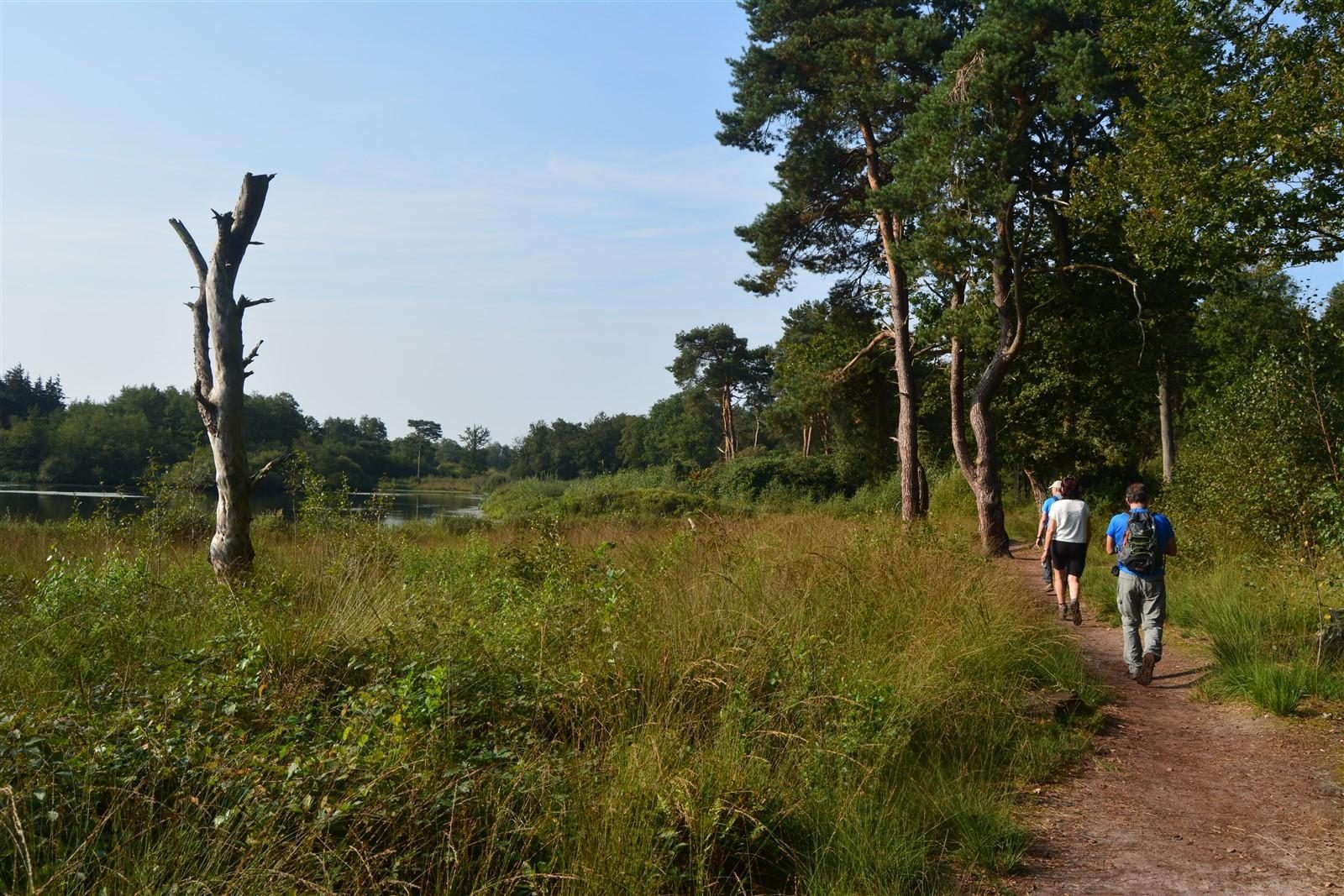 Vakantiepark nabij Hoge Kempen