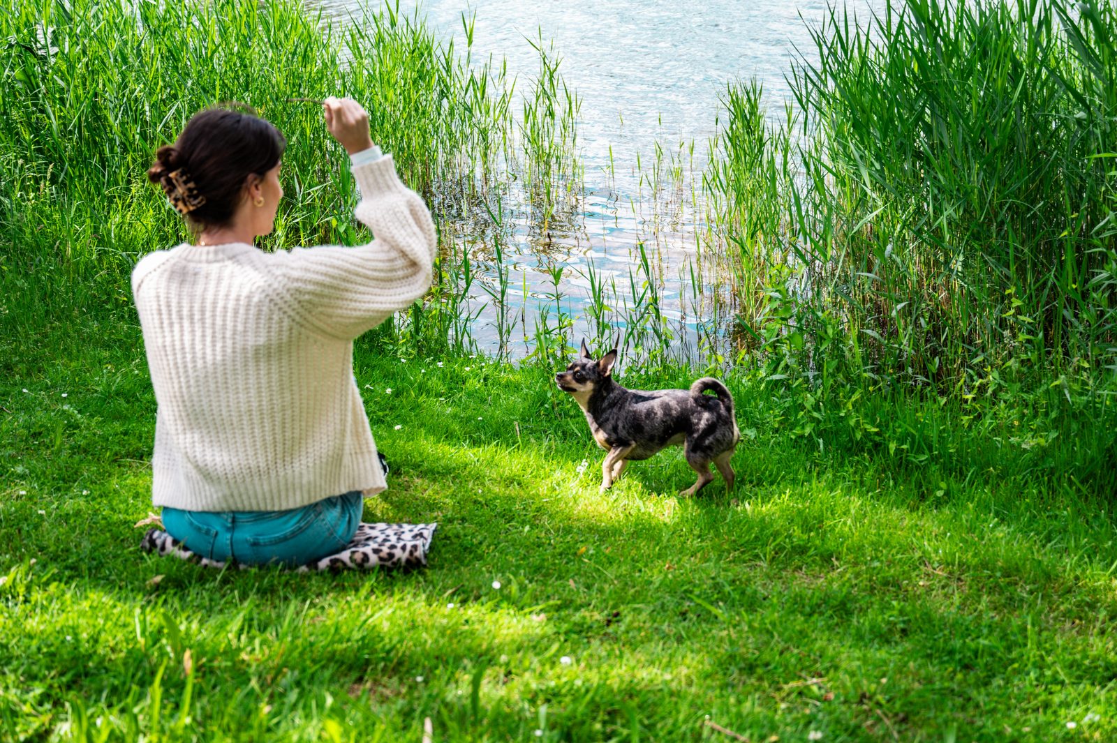 Vakantiehuis met hond