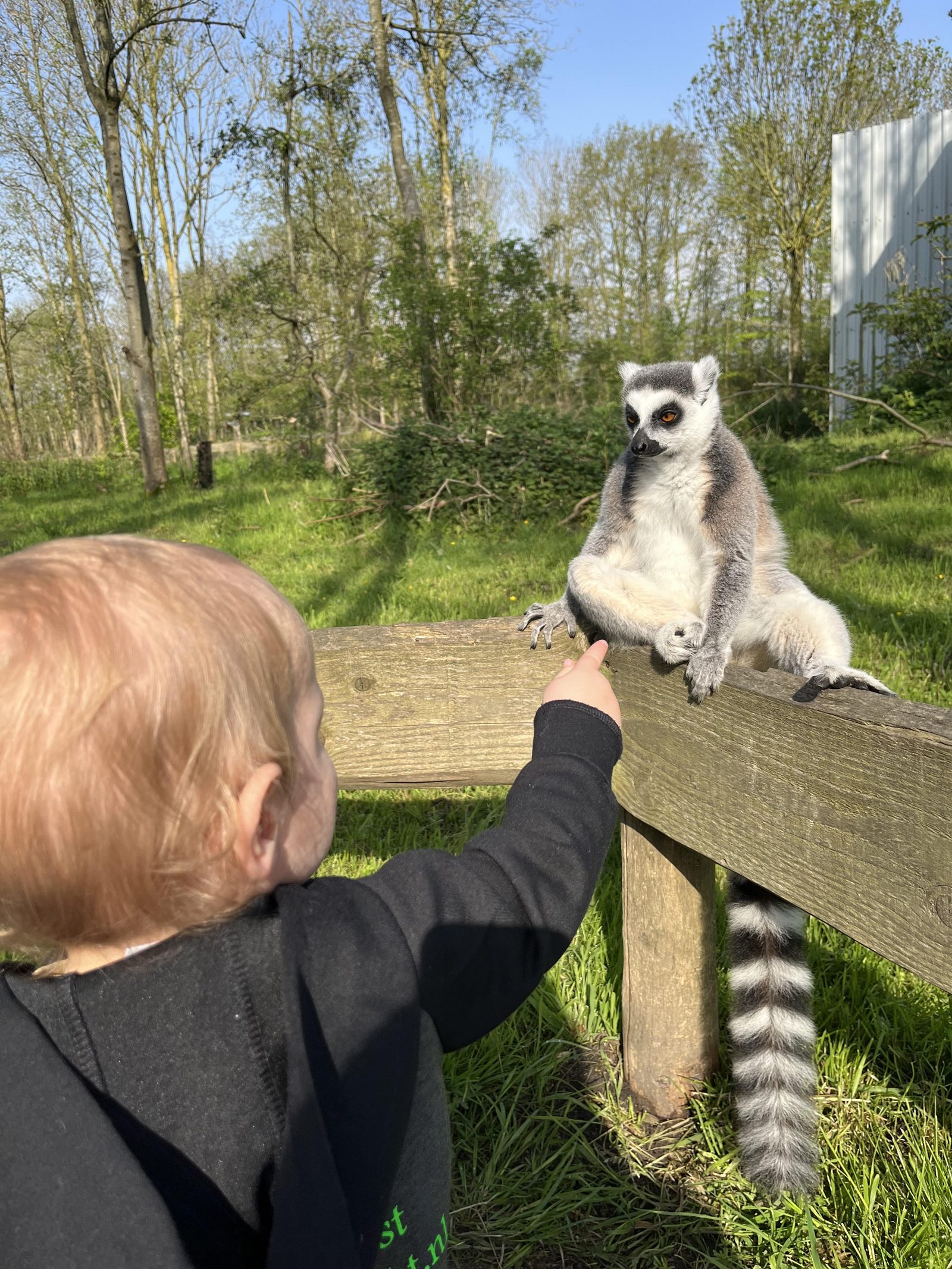 Landgoed Hoenderdaell