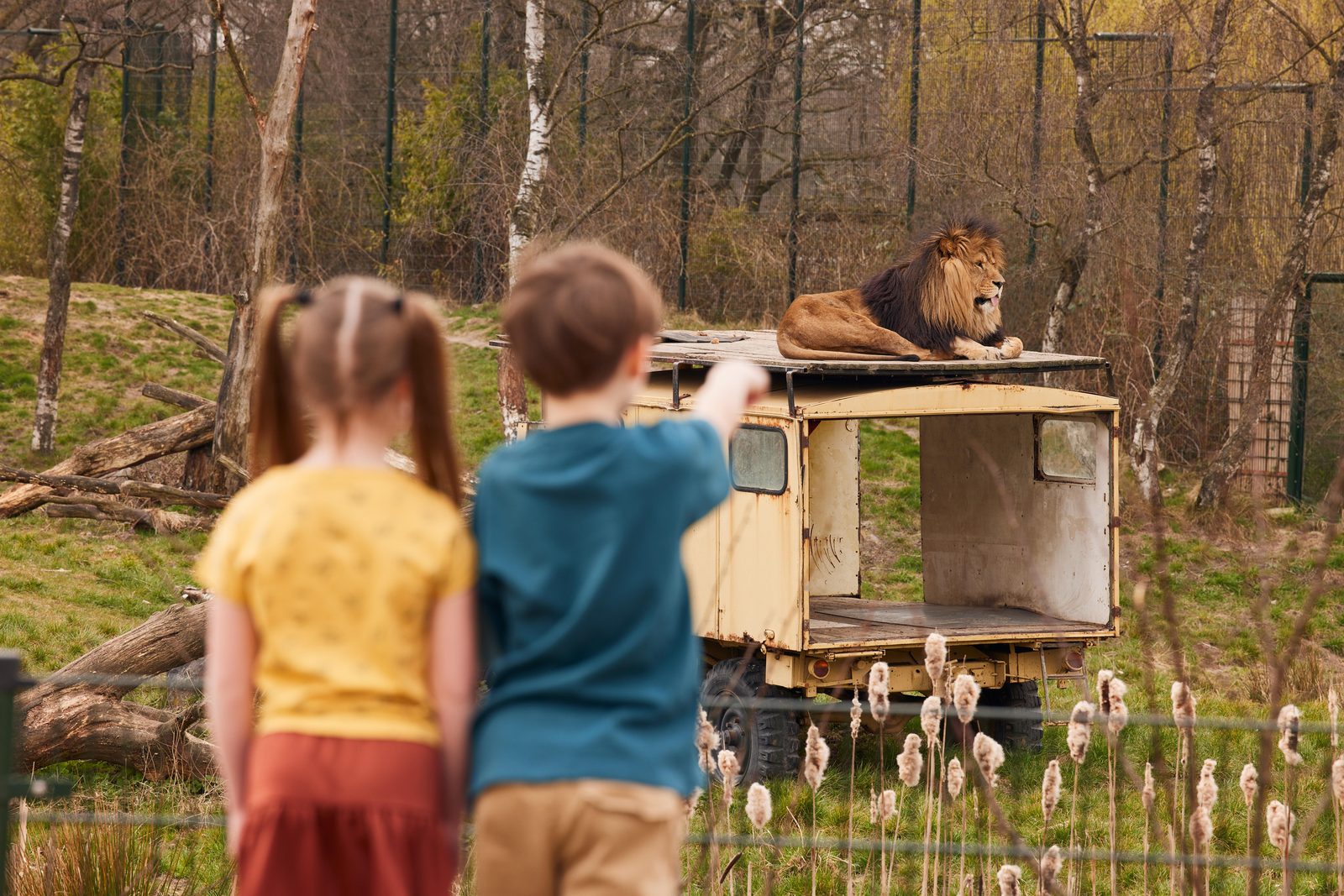 Ferienpark nahe Beekse Bergen