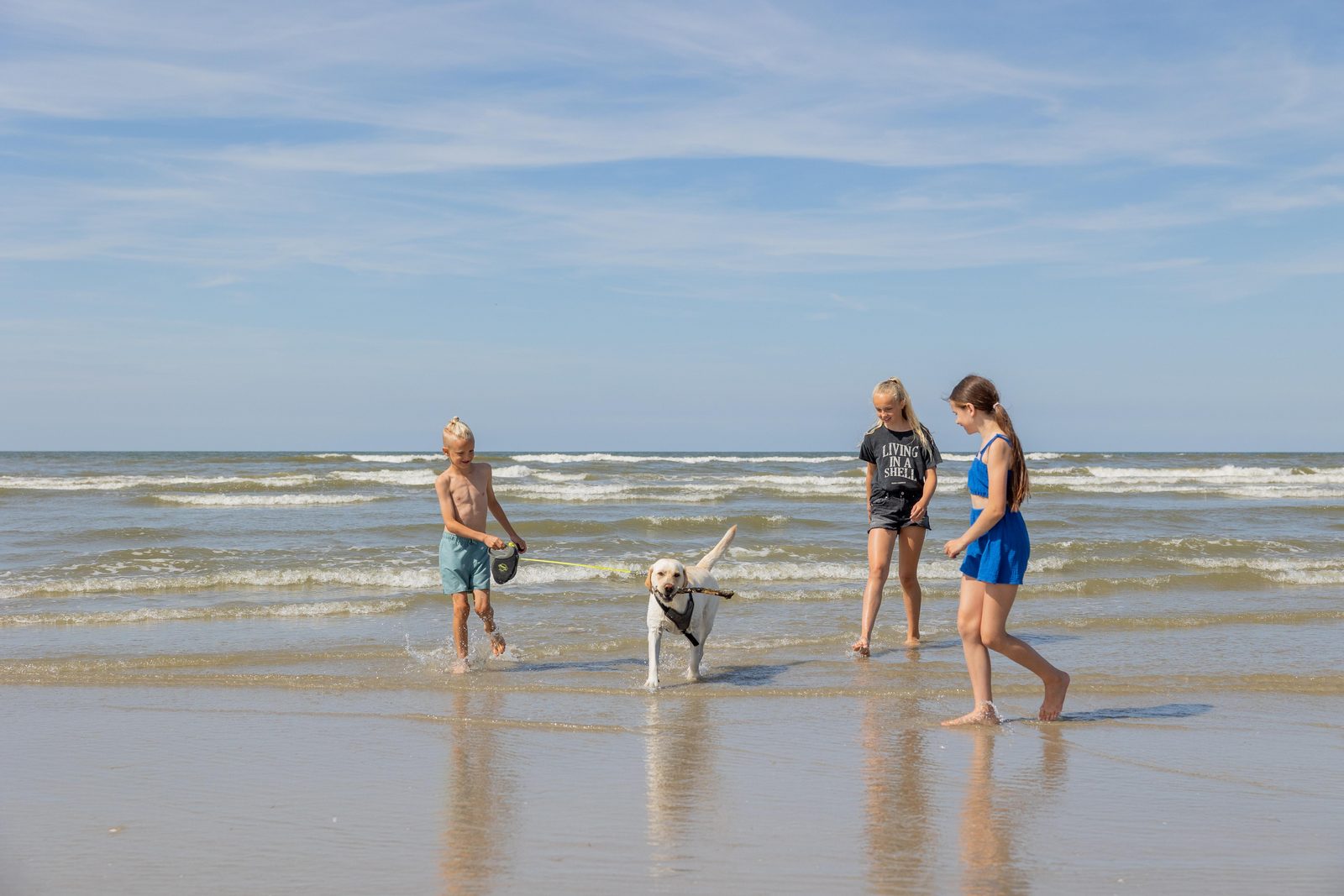 Met de hond naar Ameland