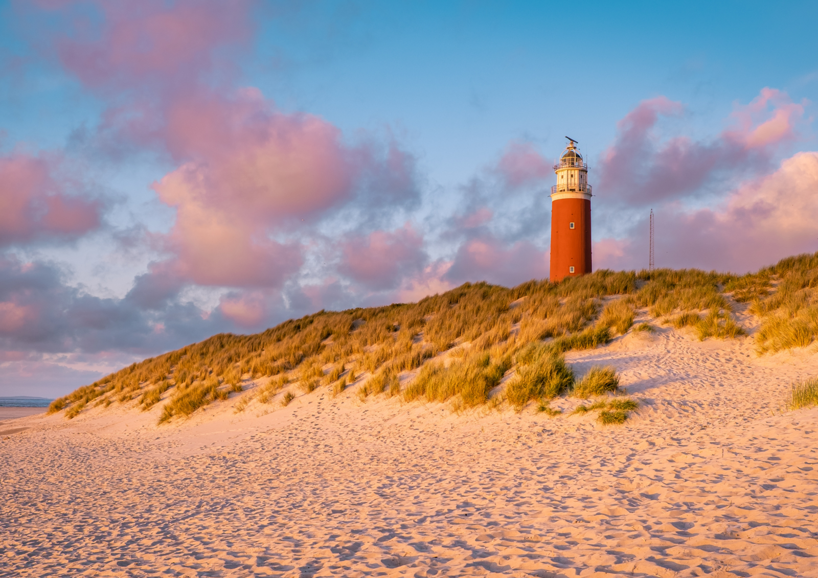 Strand Petten aan zee