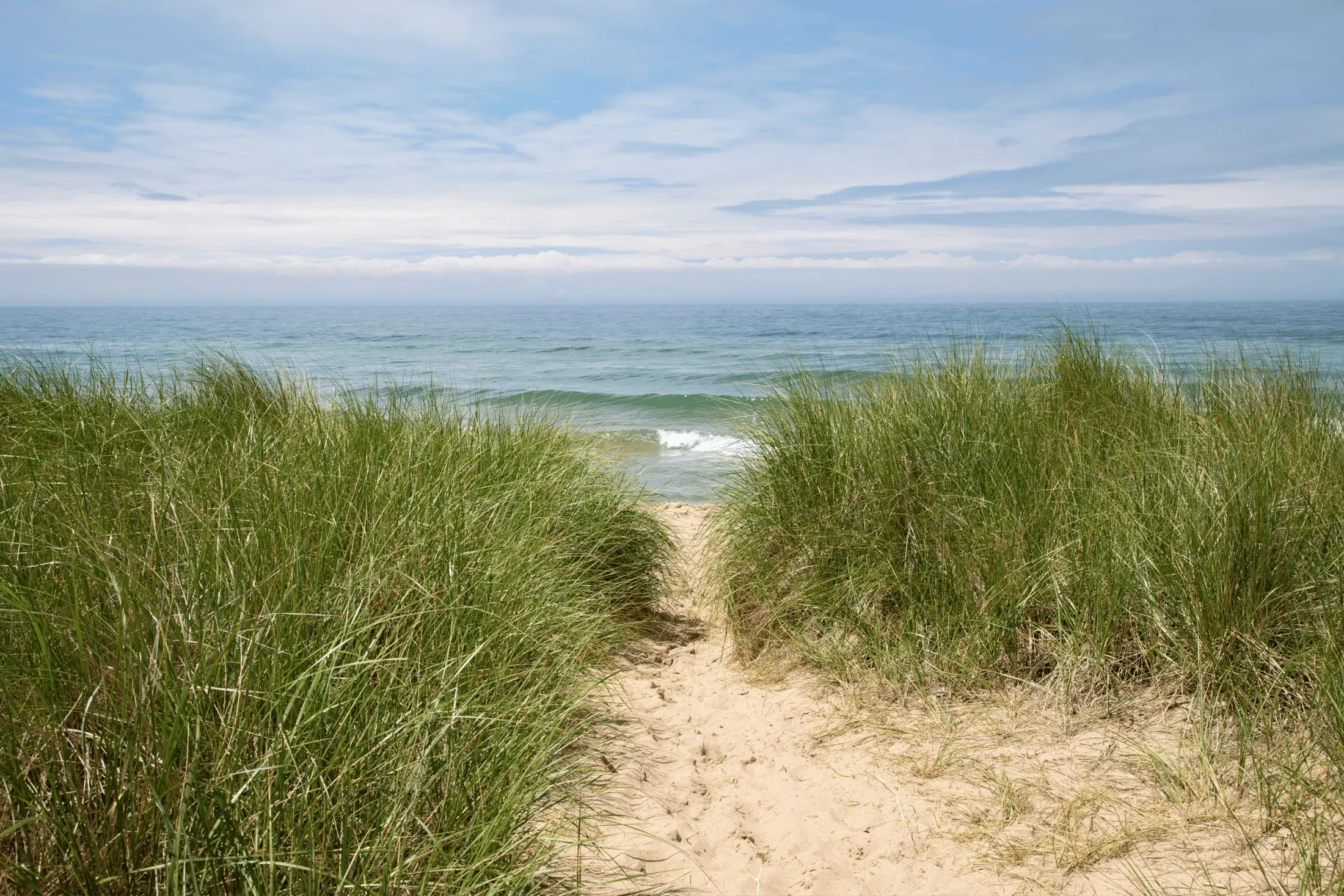 MarinaPark Residentie Bloemendaal in Vogelenzang — foto 3