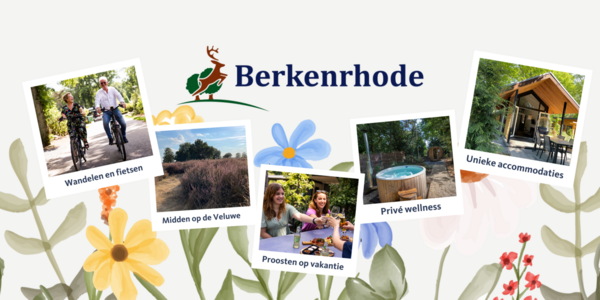 Berkenrhode