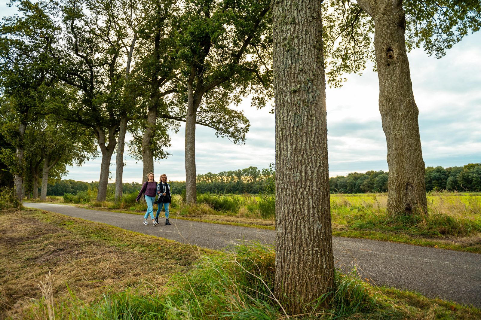 Wandelen