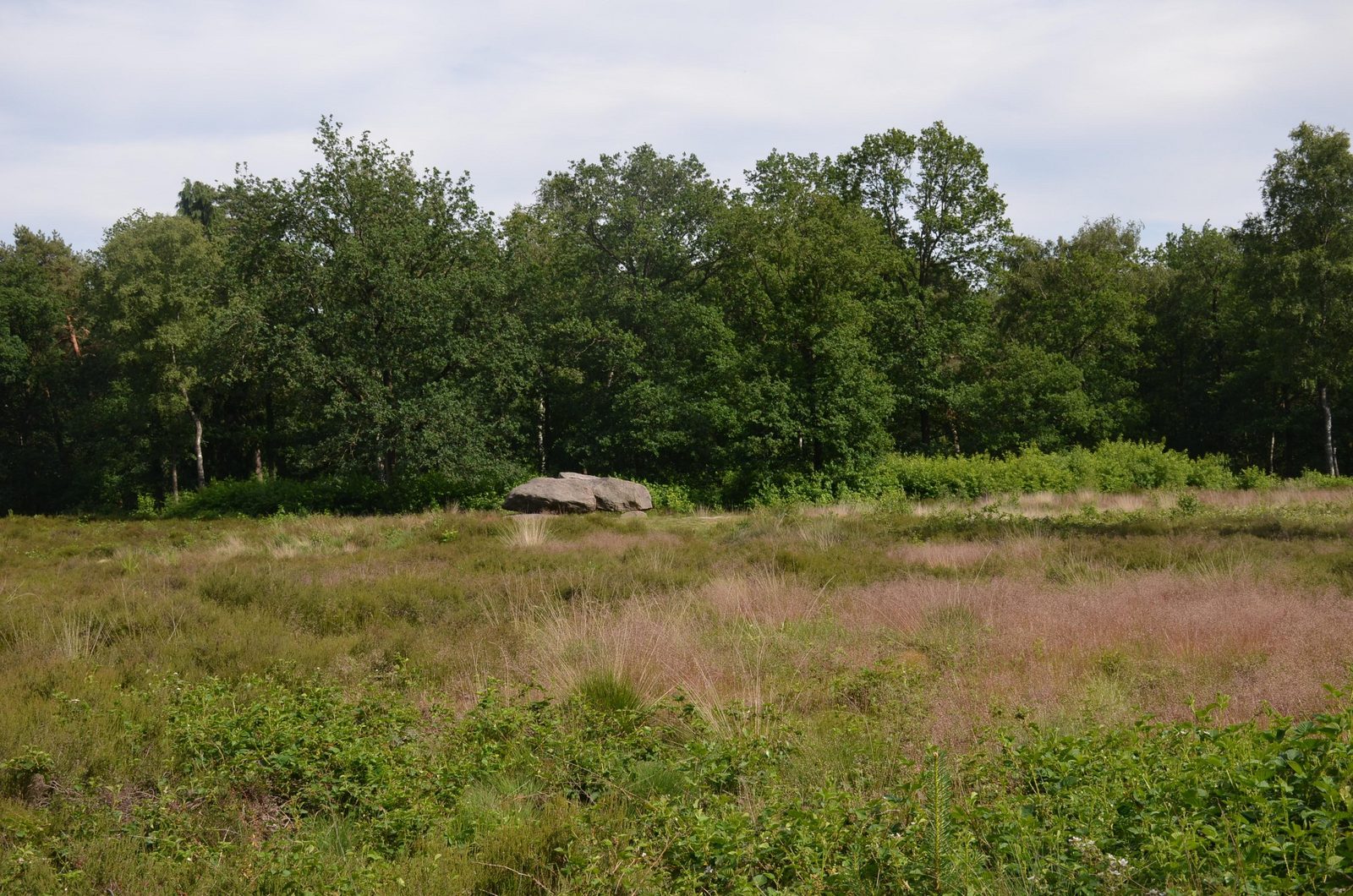 Omgeving in Drenthe