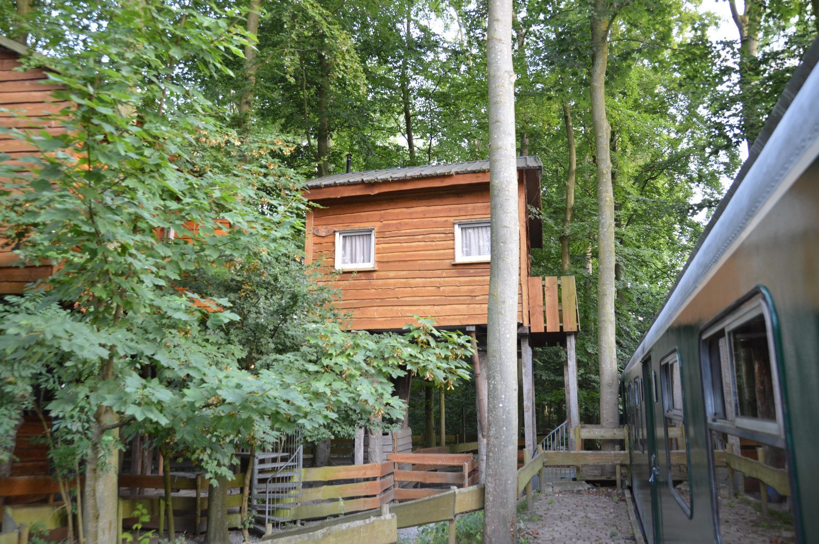 Slapen hoog tussen de bomen