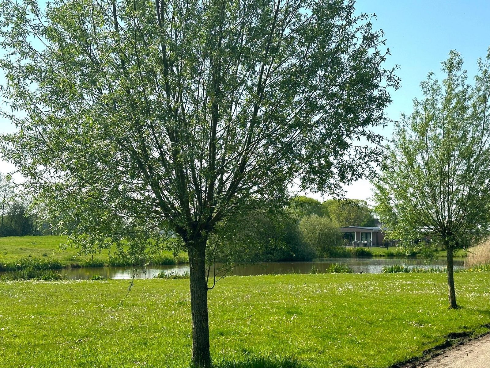 Vakantiehuis op kavel B61 met een prachtig uitzicht over de weide en vijver