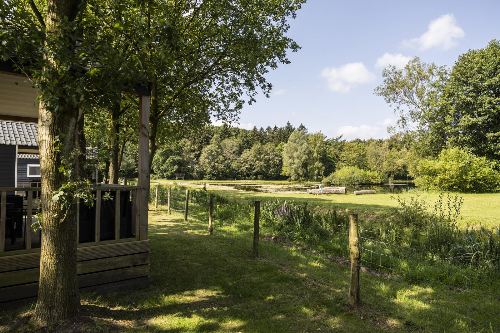 Ontdek de omgeving van Ommen