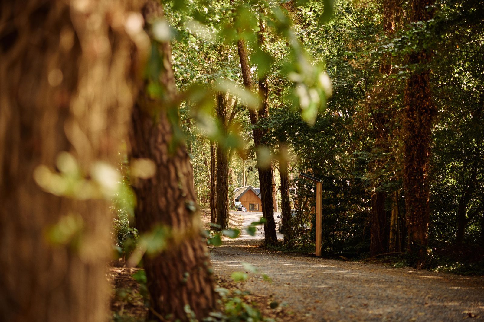 Forest cottage