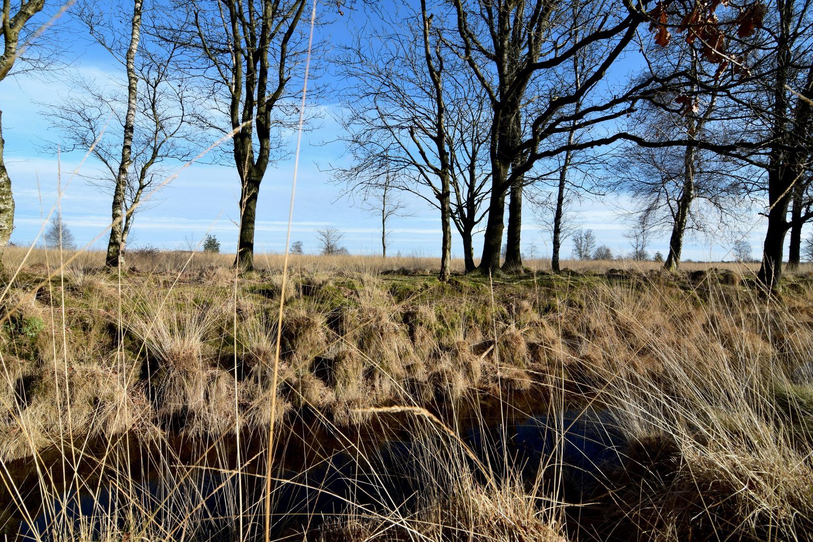 Weekendje weg naar Drenthe