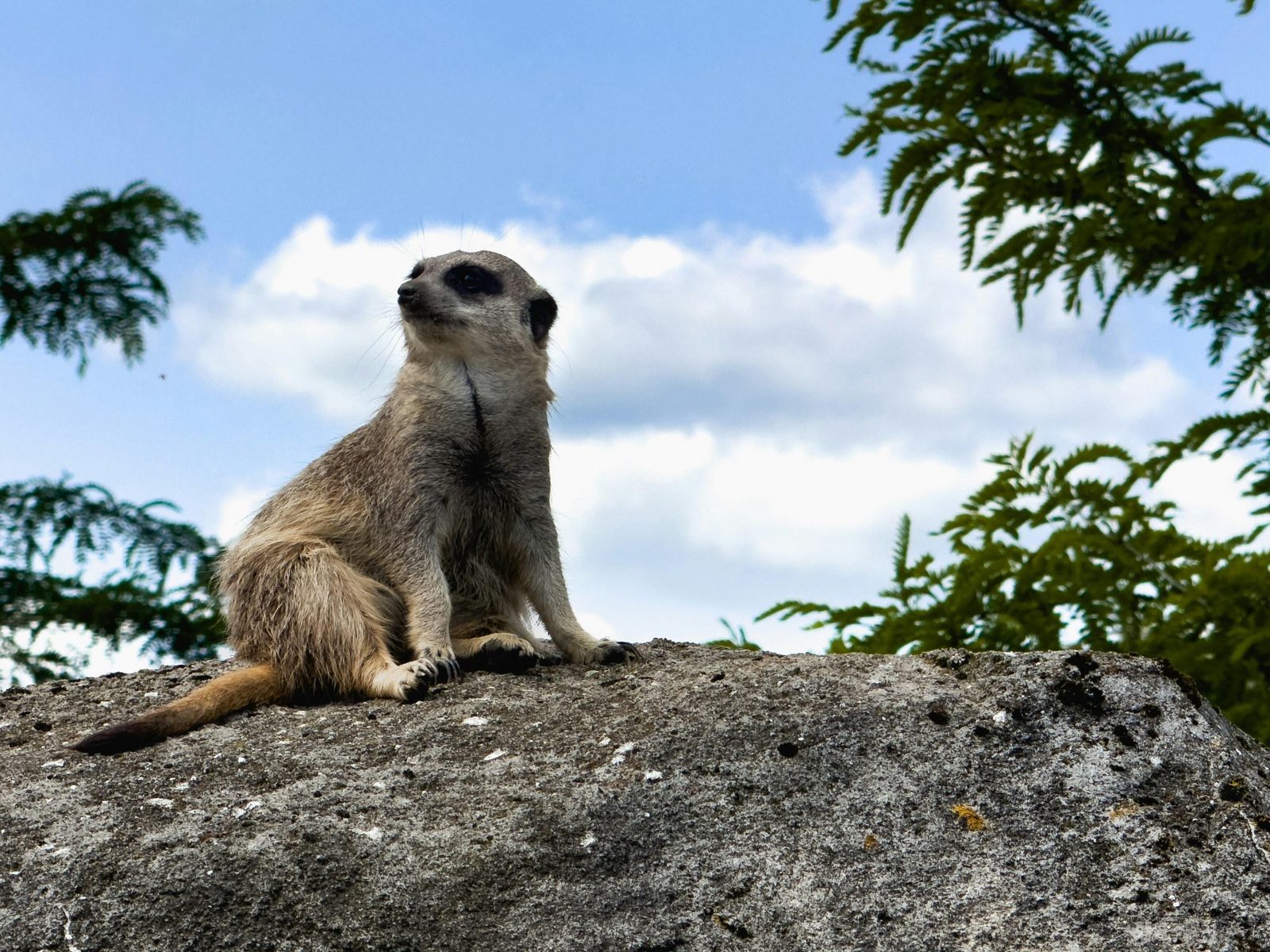 Wildlands Adventure Zoo