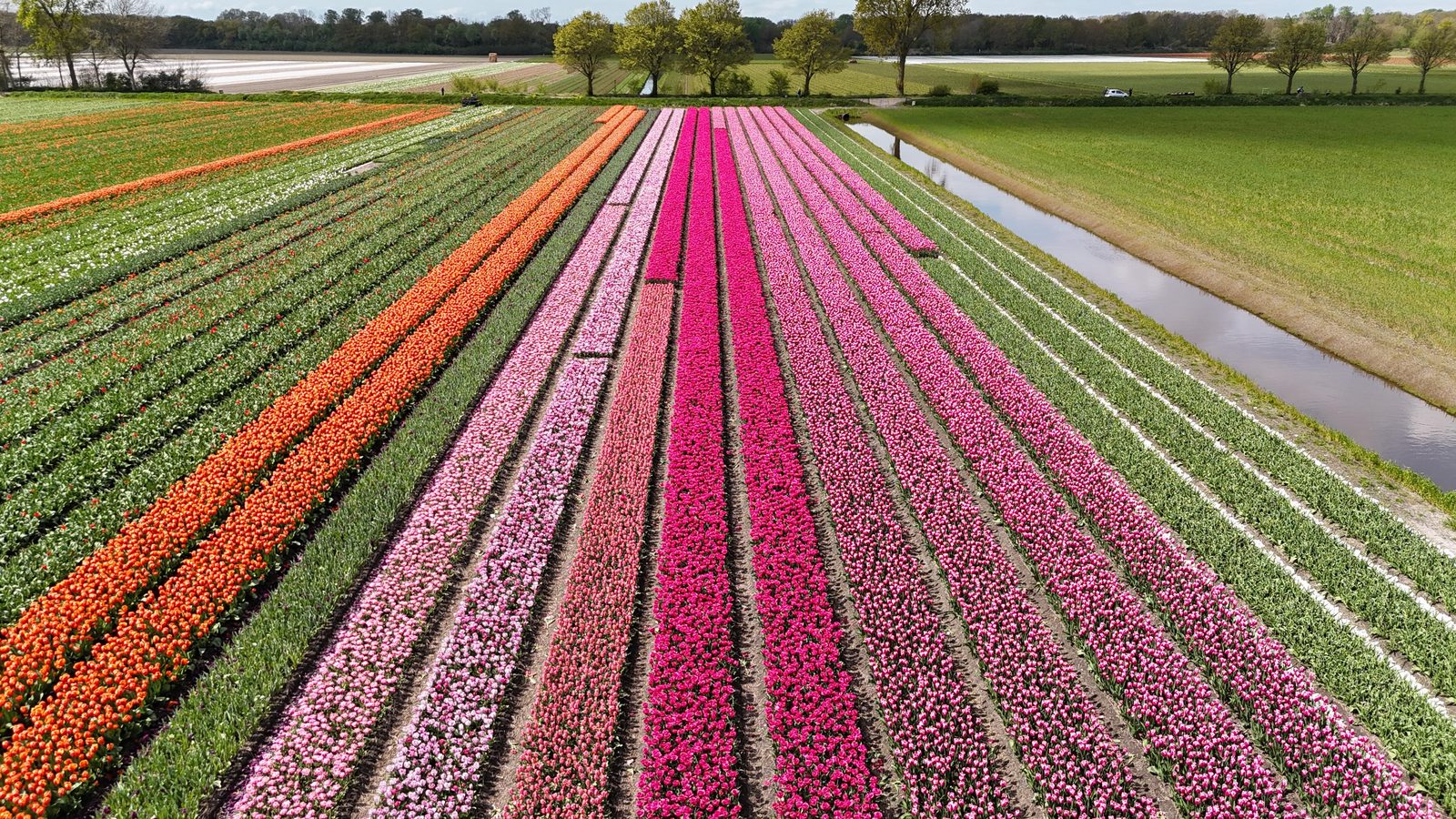 Mehr über MarinaPark Residentie Bloemendaal