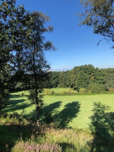 Dieses freistehende Haus auf dem Campingplatz de Wilsumerberge mit unvergesslichem Panoramablick musst du gesehen haben!