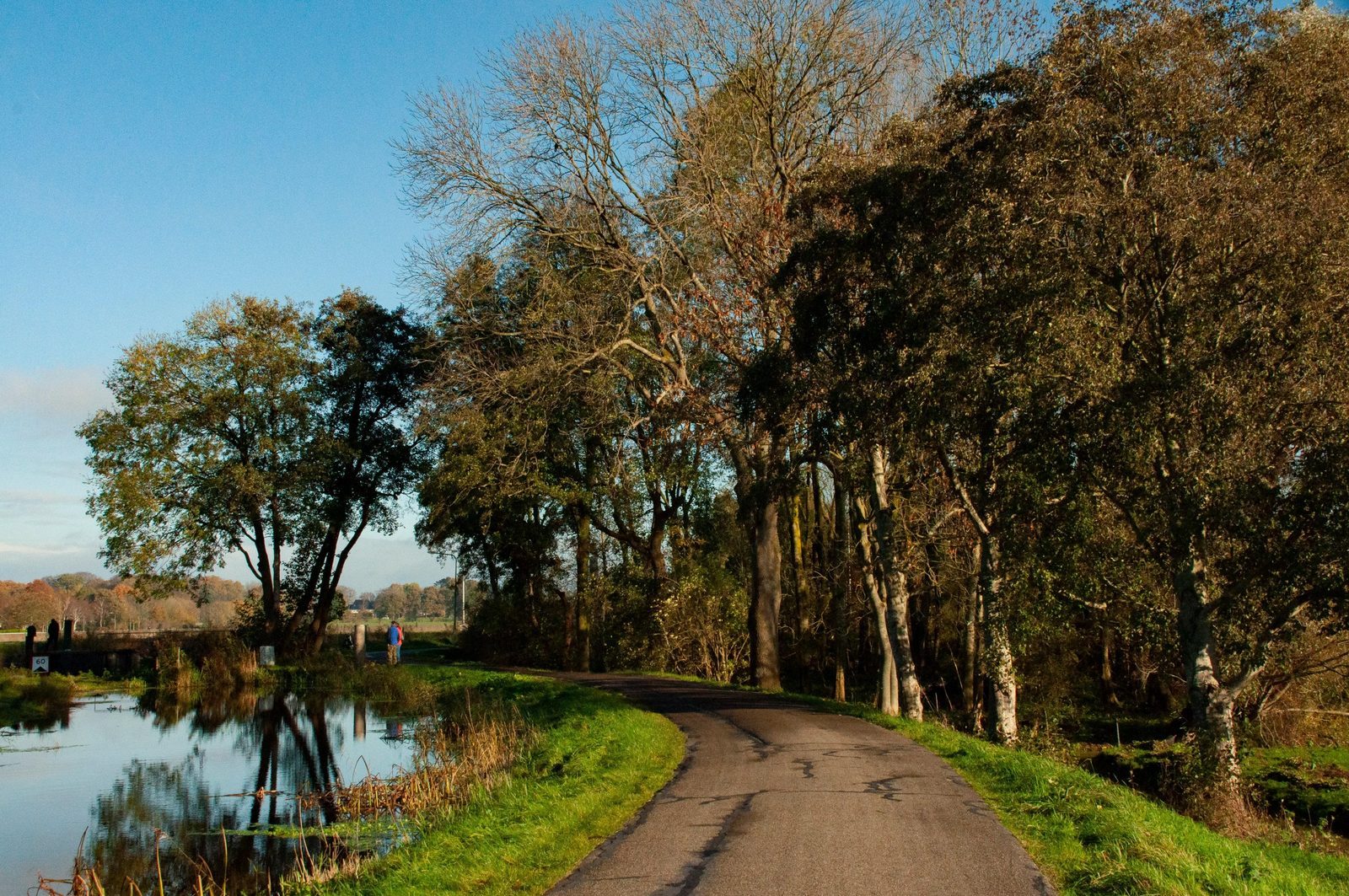 Ontdek de natuur