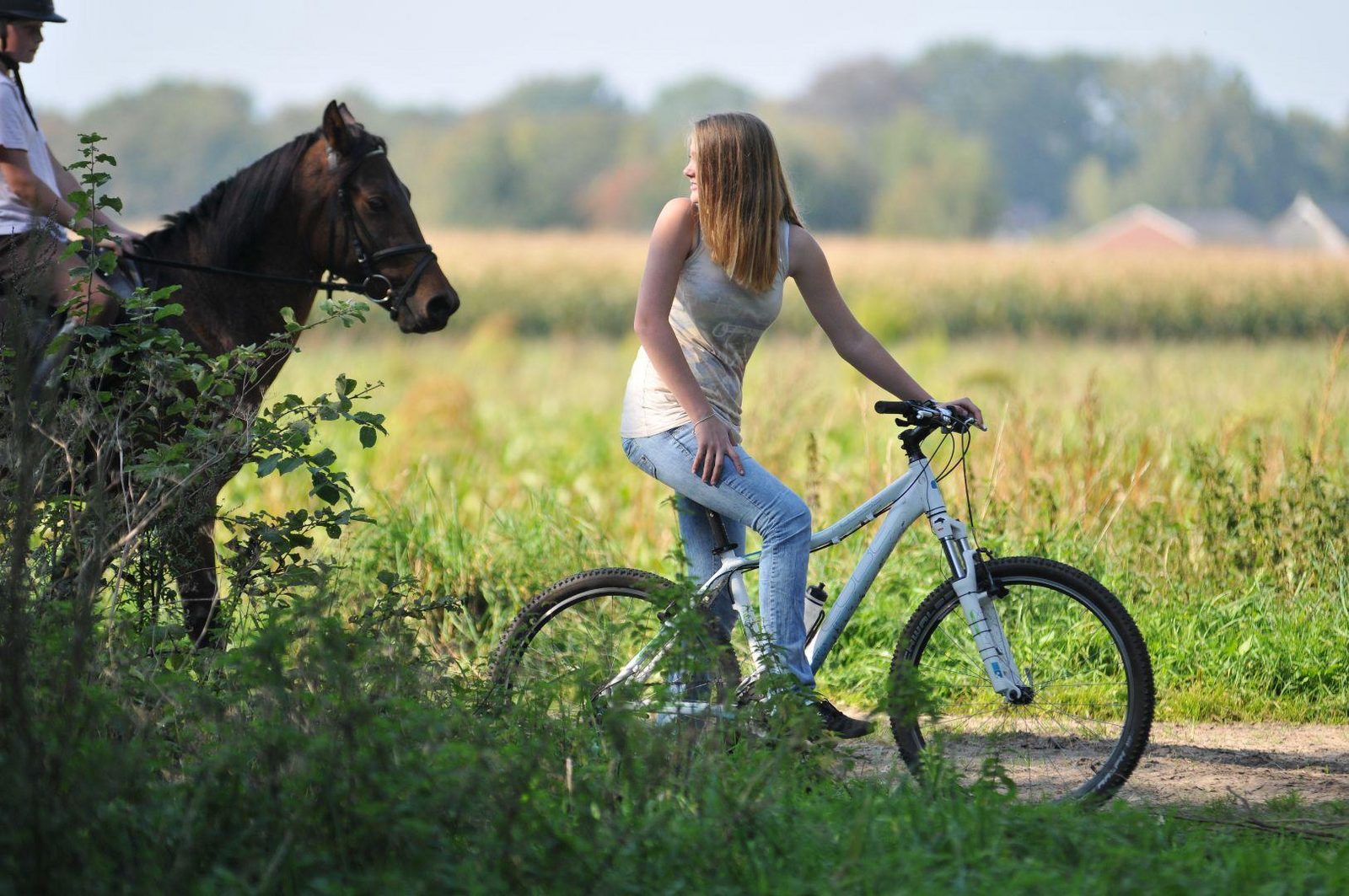 Fietsverhuur