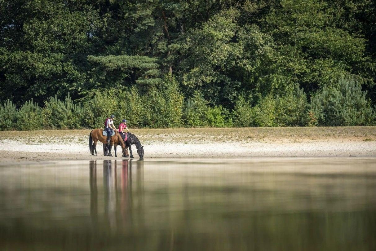 Vakantie met je paard