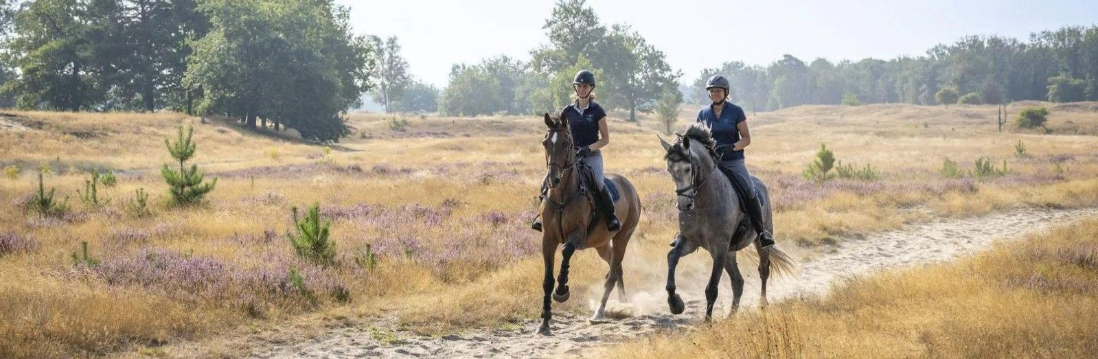 Vakantie met je paard