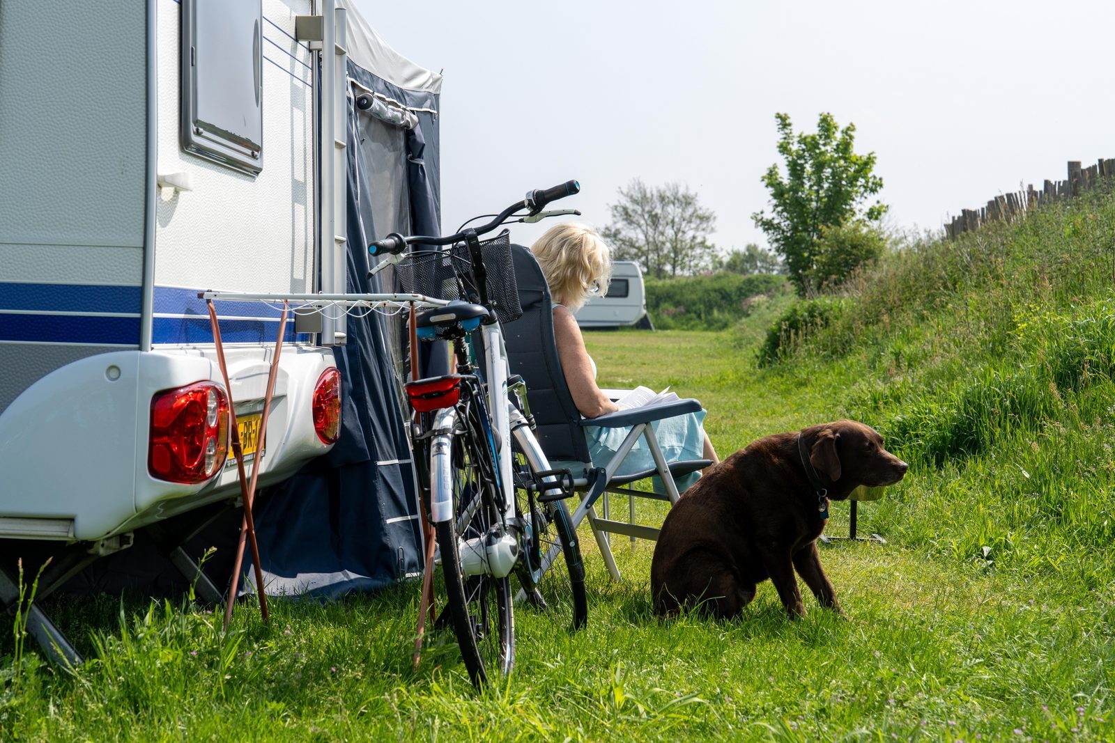 Camping with dog by the sea